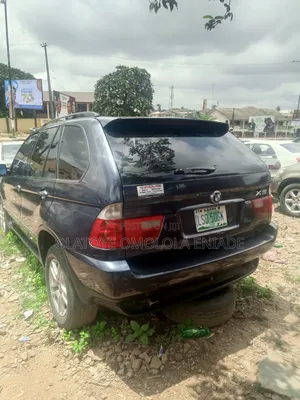 BMW X5 2010 Blue