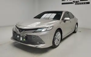Toyota Camry XLE (2.5L 4cyl 8A) 2019