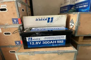 Hyper Power 12.8V 300Ah Deep-Cycle Lithium Iron Phosphate Battery