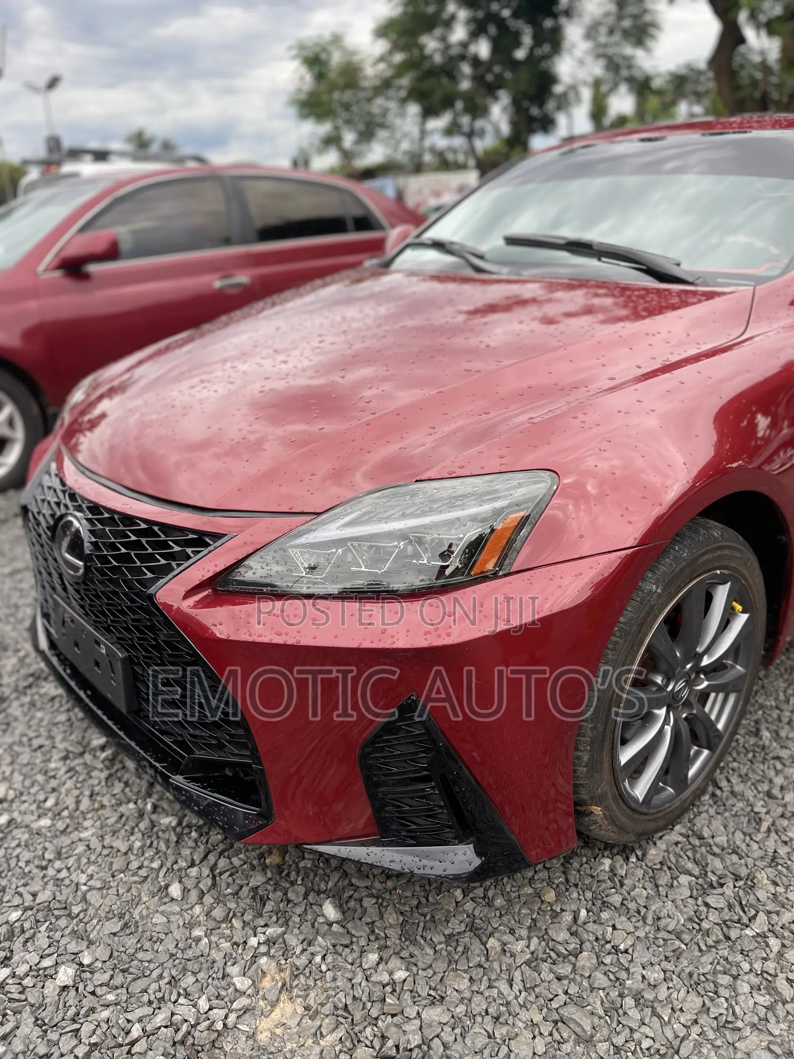 Lexus IS 2009 Red