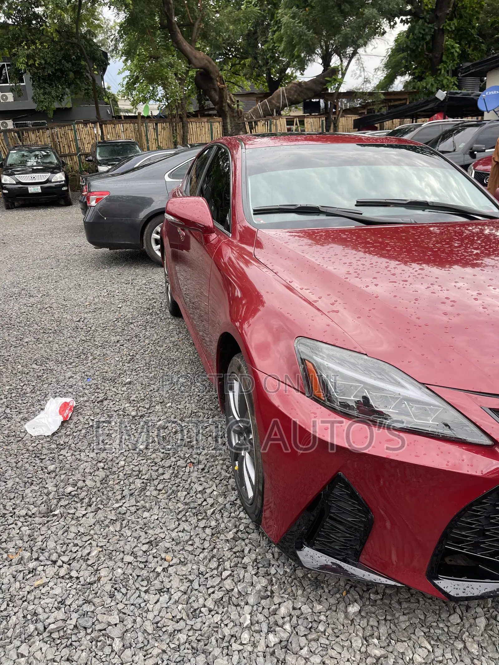 Lexus IS 2009 Red