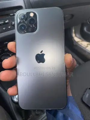 Apple iPhone 12 Pro Max 256 GB Gray