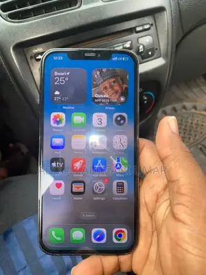 Apple iPhone 12 Pro Max 256 GB Gray
