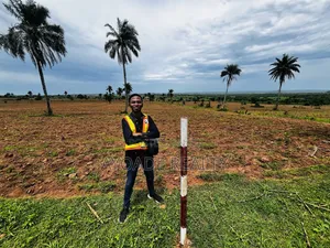 TREASURE CITY: Palm Plantation Land for Long-Term Investment