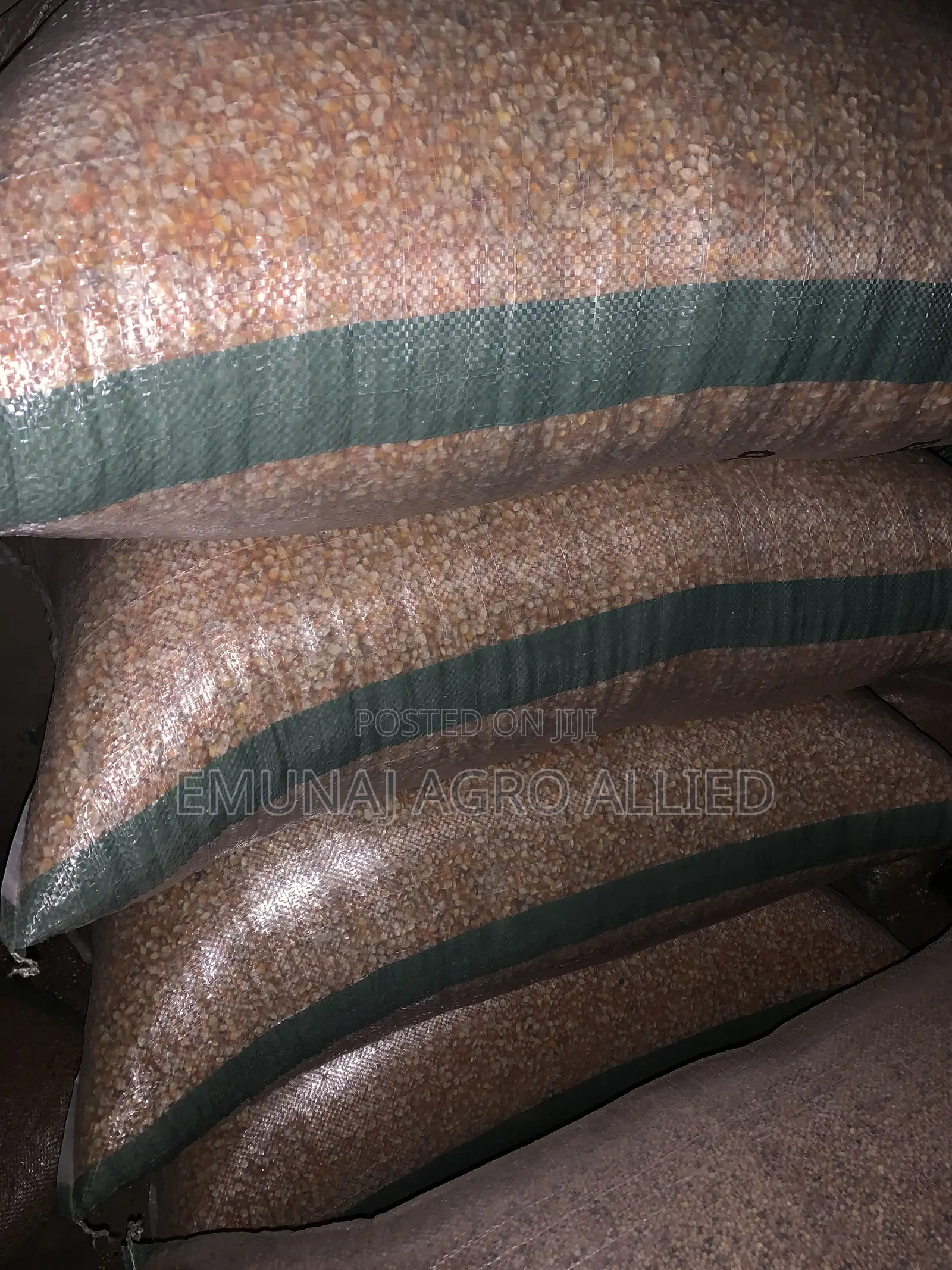 Maize EMUNAJ
