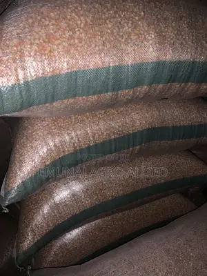 Maize Emunaj