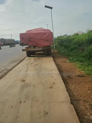 Dangote and Bua Cement Latest Delivery