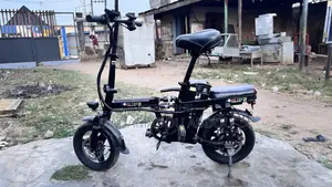 Electric Bicycles