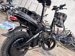 Electric Bicycles