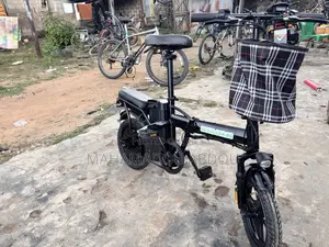 Electric Bicycles