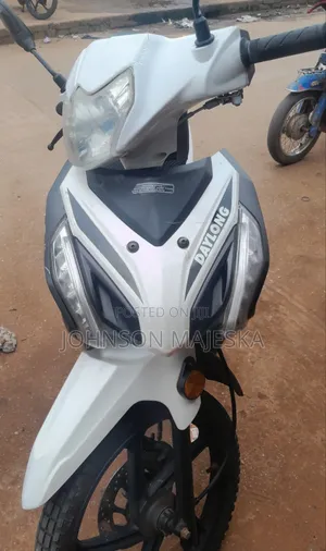 Daylong DL110-55 2025 White