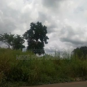 89 Plots(44500 Sqm) of Land at Nkalagu Ebonyi State For#356m With CofO