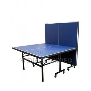 Standard Outdoor Table Tennis With Complete Accessories