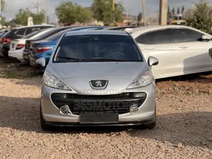 Peugeot 207 2010 Silver