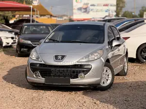 Peugeot 207 2010 Silver