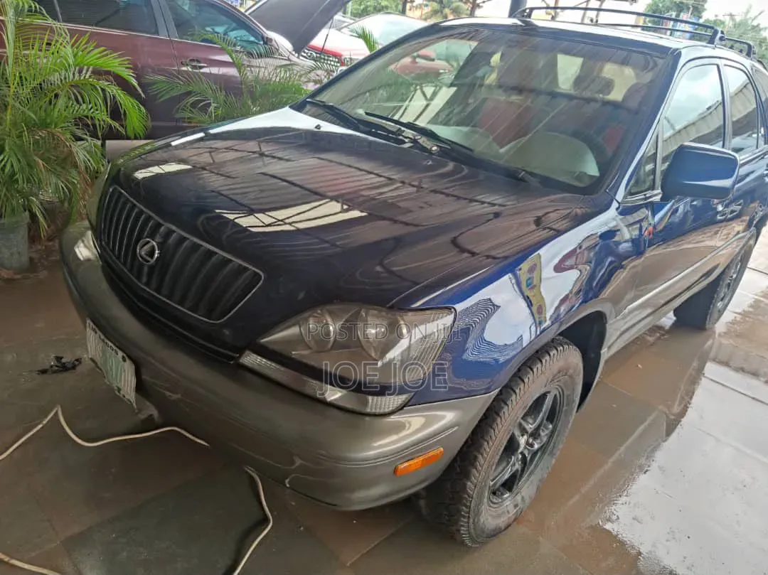 Lexus RX 2004 Blue