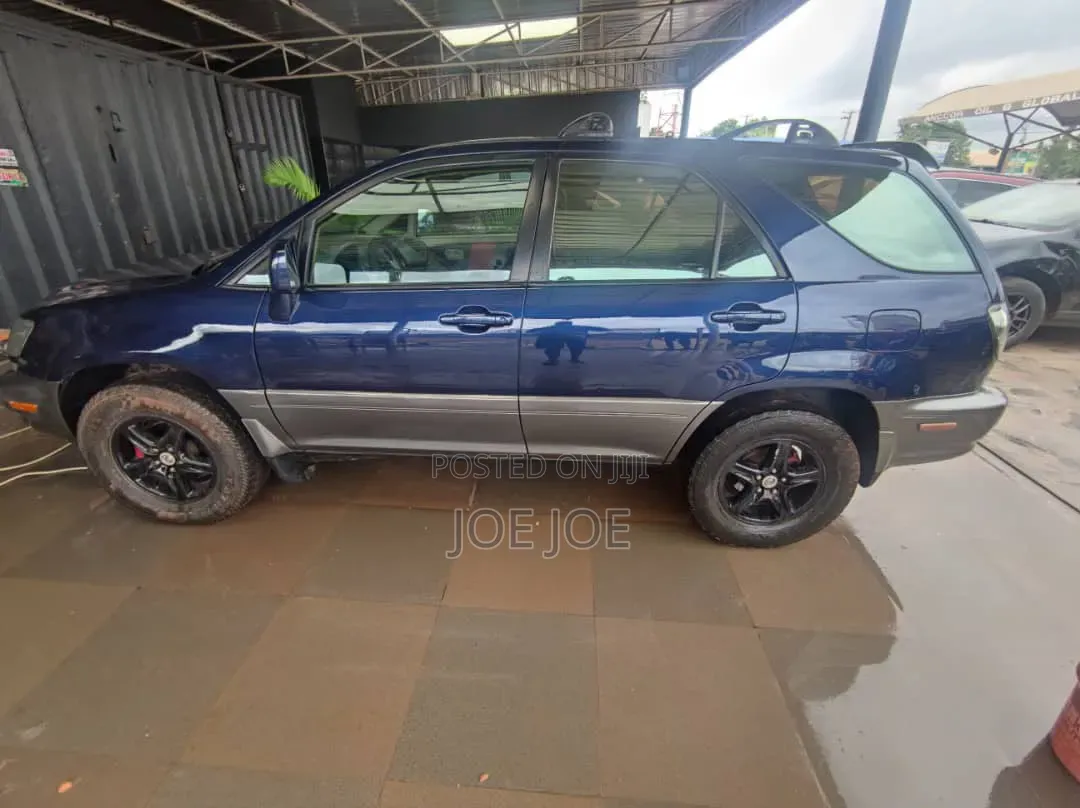 Lexus RX 2004 Blue