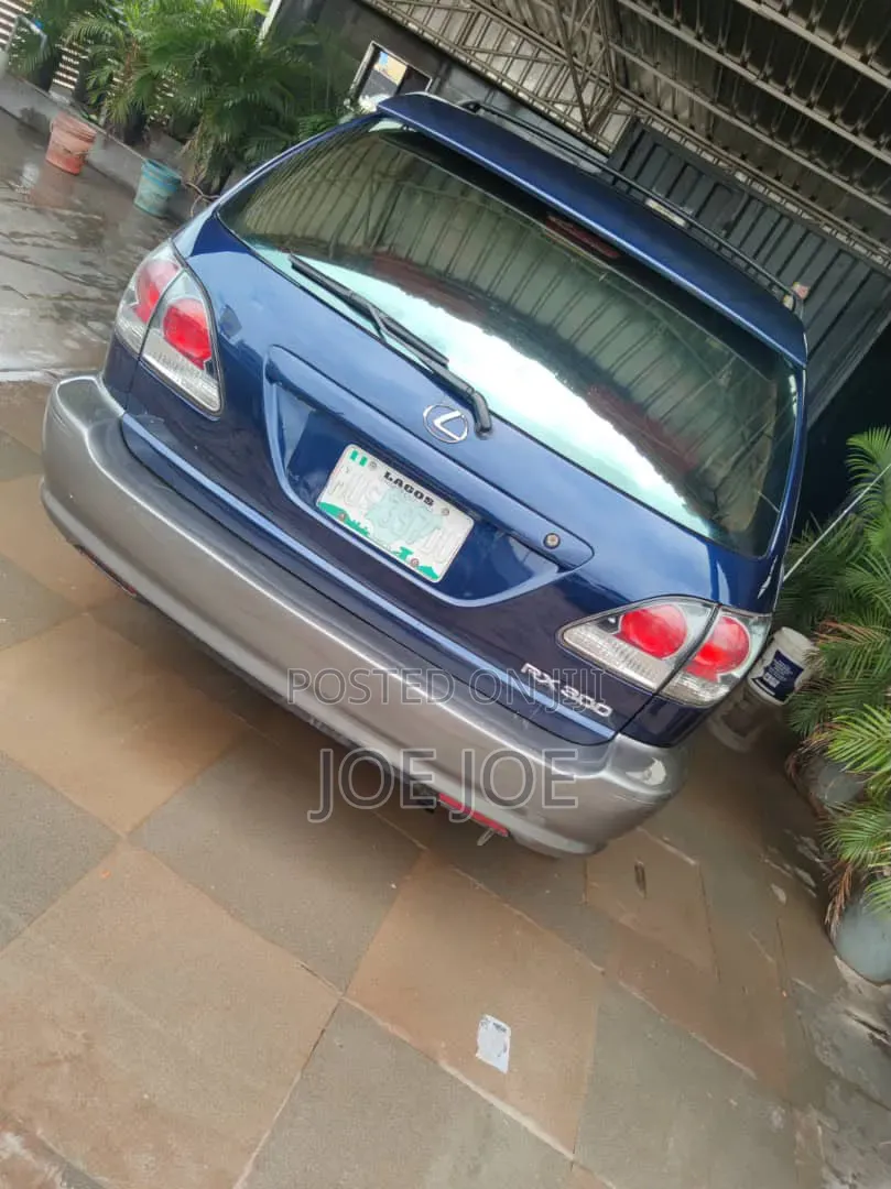 Lexus RX 2004 Blue