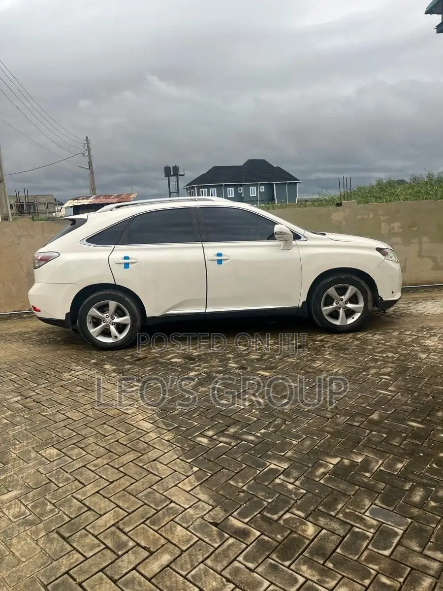 Lexus RX 2010 White