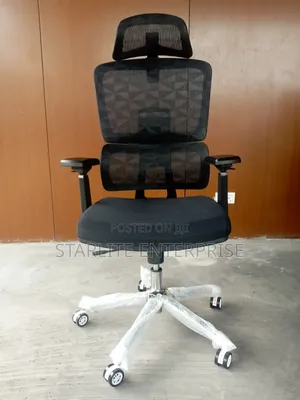Executive ERGONOMIC Office Chair