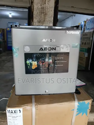 Portable Aeon Refrigerator Bedside (Ars50g)