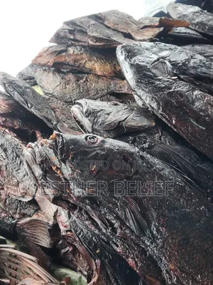 Dry Fish Supplier