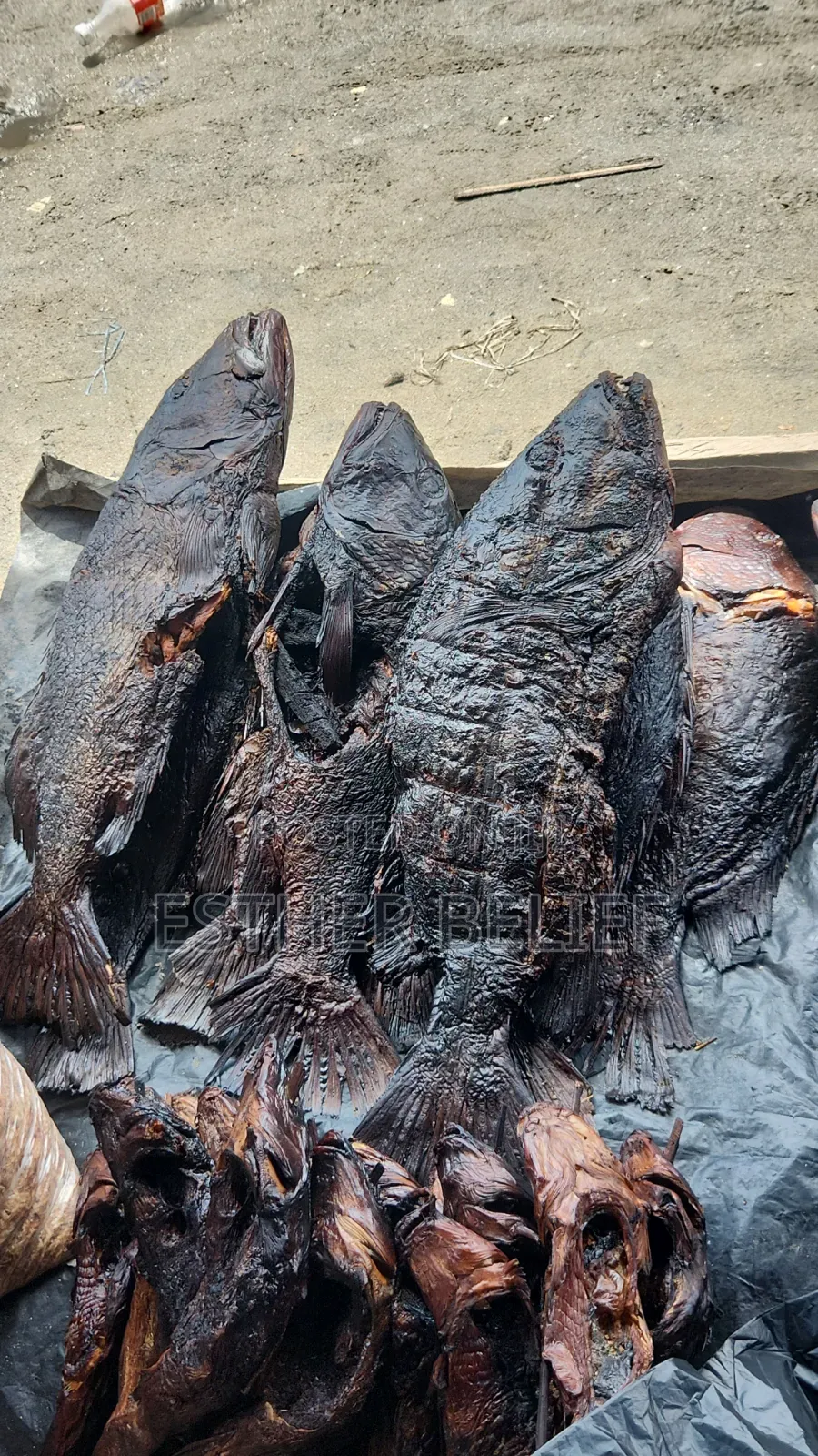 Dry Fish Supplier