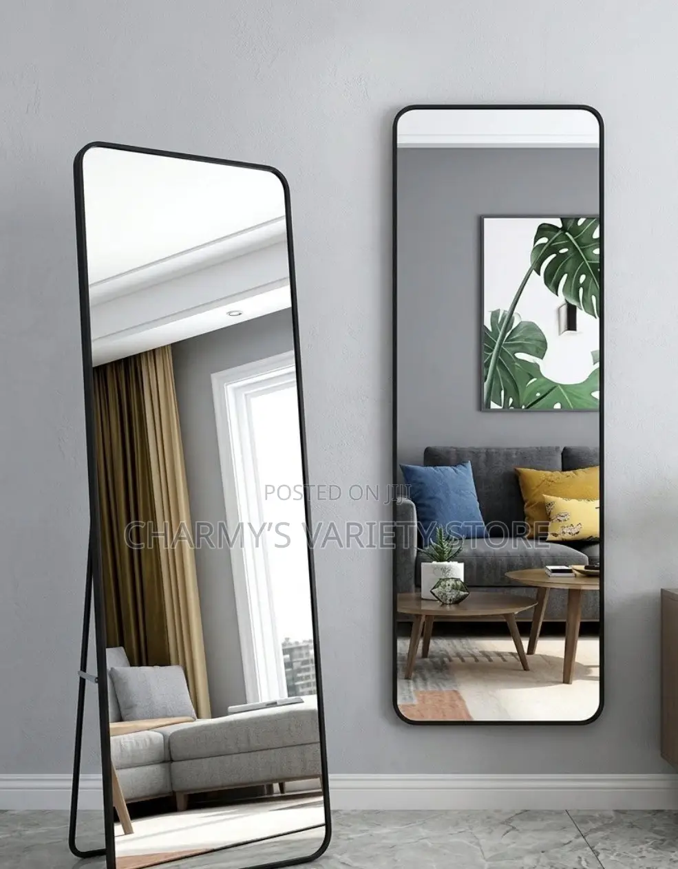 Elegant Standing Mirror