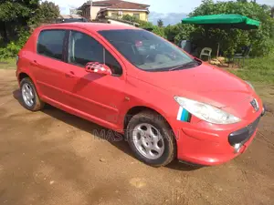 Peugeot 307 1.4 2004 Red