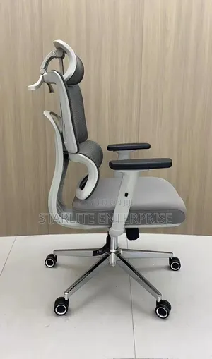 Executive ERGONOMIC Office Chair