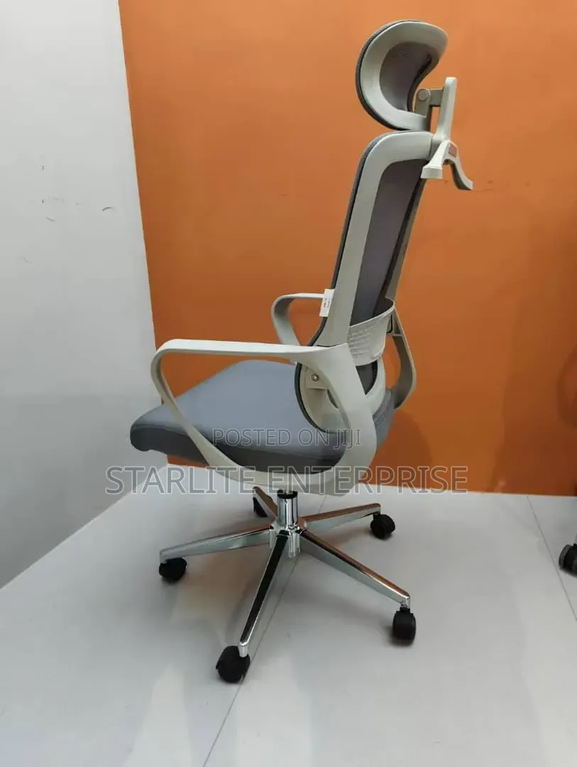 Executive ERGONOMIC Office Chair