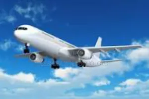 Flight Booking (Local and International)