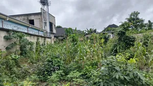 For Sale : Partly Fenced 1 Plot at Rumuokparali