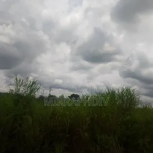 89 Plots of Land at Nkalagu Ebonyi Estate With 44500 SQM for Sale