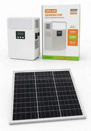 300w Solar Inverter With Panel
