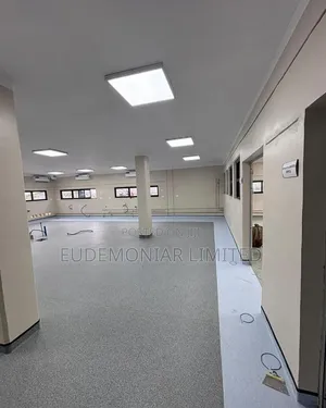 Vinyl Flooring Project Finishing Works