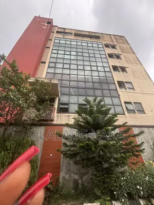 Commercial Property Located in the Heart of Yaba