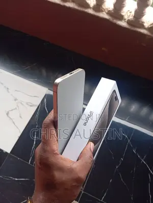 Apple iPhone 15 Pro Max 256 GB Gray