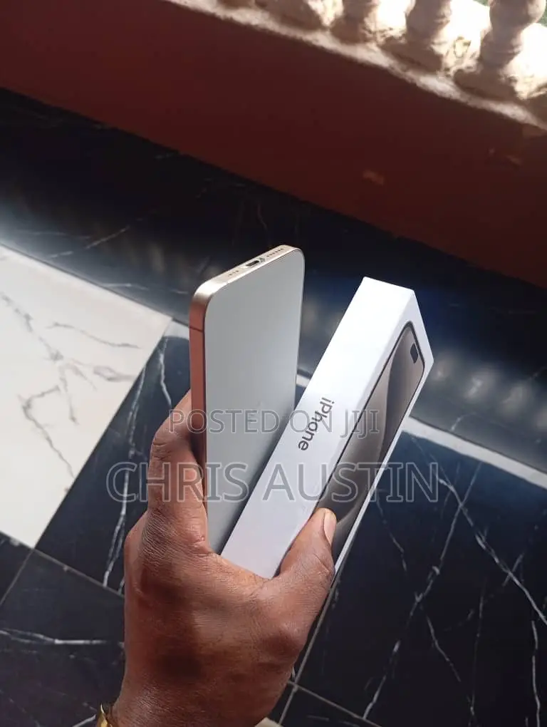 Apple iPhone 15 Pro Max 256 GB Gray
