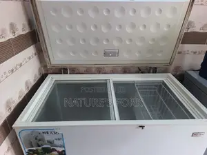 Used Nexus Freezer 320l