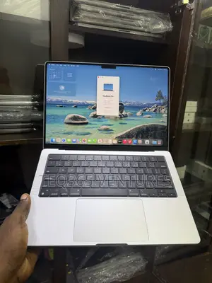 Laptop Apple MacBook Pro 48GB Apple M4 Pro SSD 1T