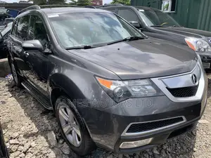 Acura MDX 2011 Gray