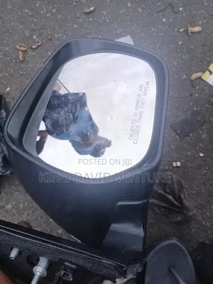 Side Mirror Lexus 460 2019