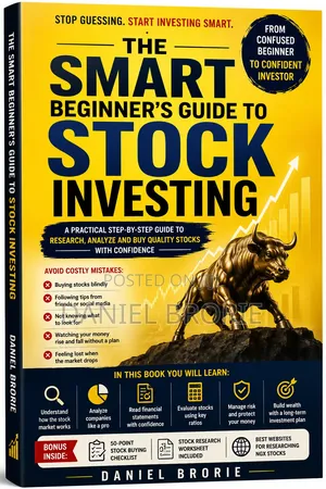 The Smart Beginners Guide to Stock Investing