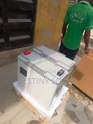 15KWH Lithium Ion Battery Blue Carbon Very Strong Battery 5 Years War