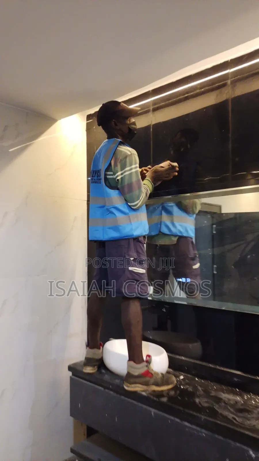 Professional Cleaning and Fumigation Services