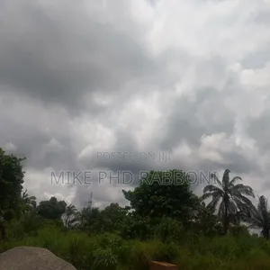 This Is 10000 SQM of Land(CofO) Along Enugu Abakiliki Road for N1.7 B