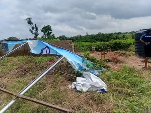Estate Land for Sale(gracefield Estate).