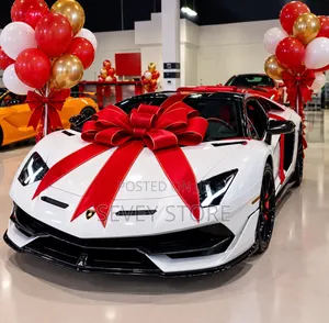 Lamborghini Ribbon Decoration