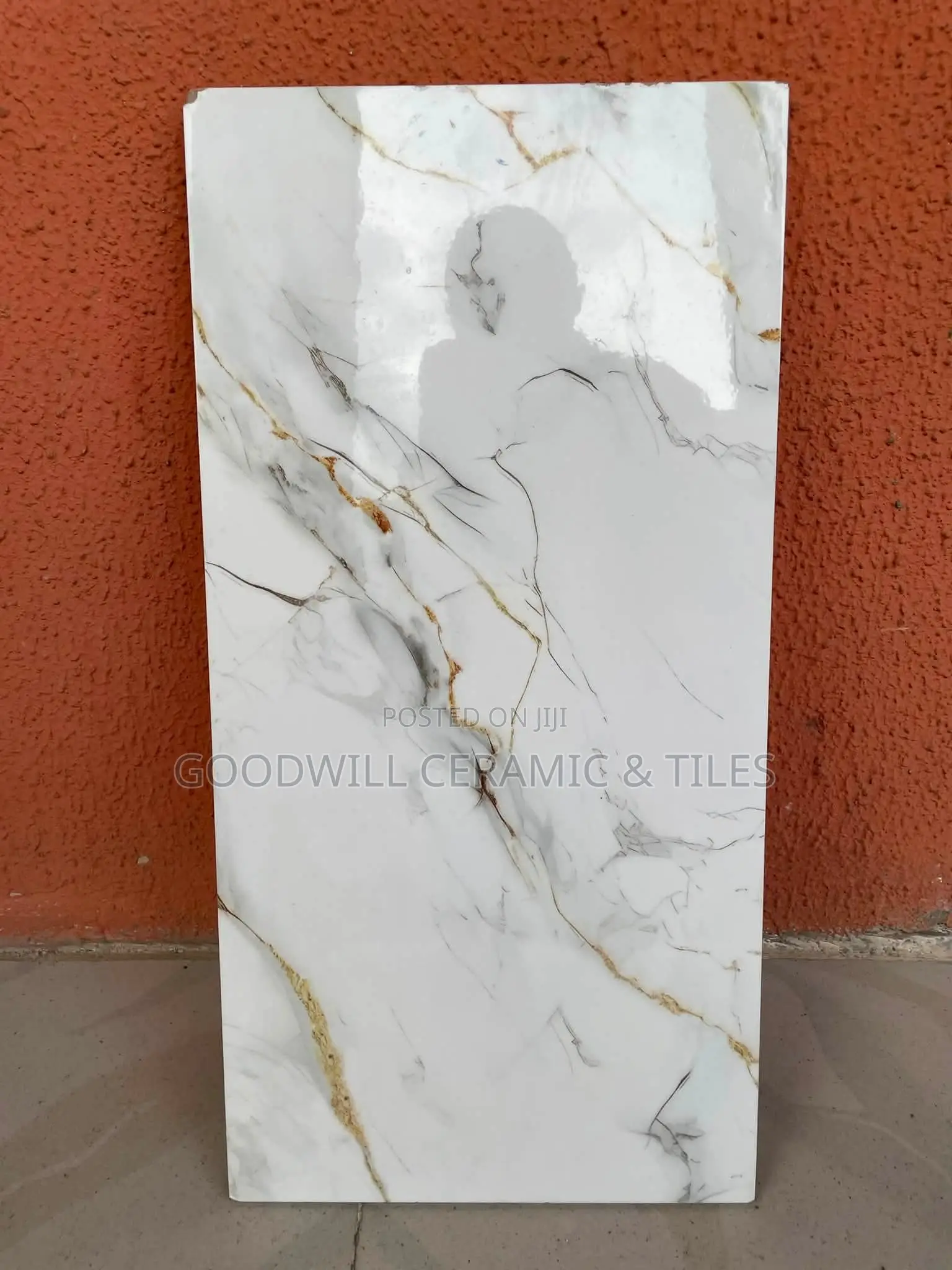 30x60cm Inkjet Wall Tiles
